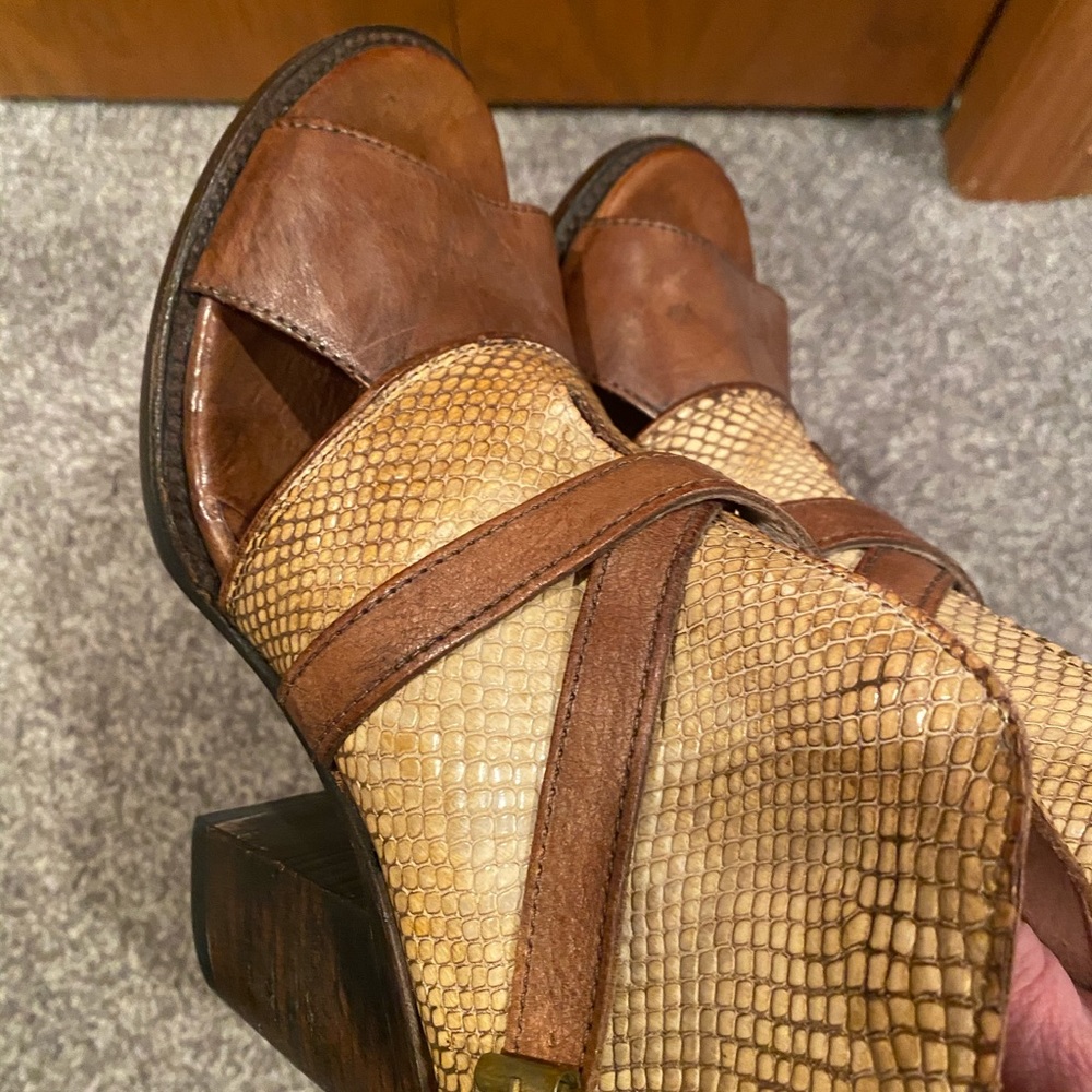 Freebird by Steven “Rattl” sz 10 - Picture 7 of 7
